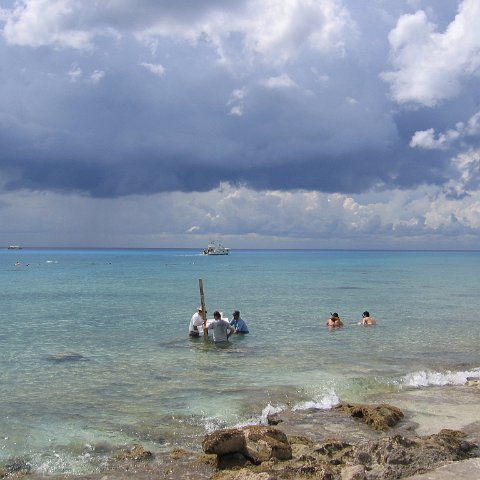 cozumelcoralpropproject2007javertake 048
